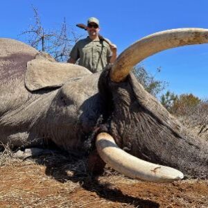 Africa Elephant (Coming Soon)